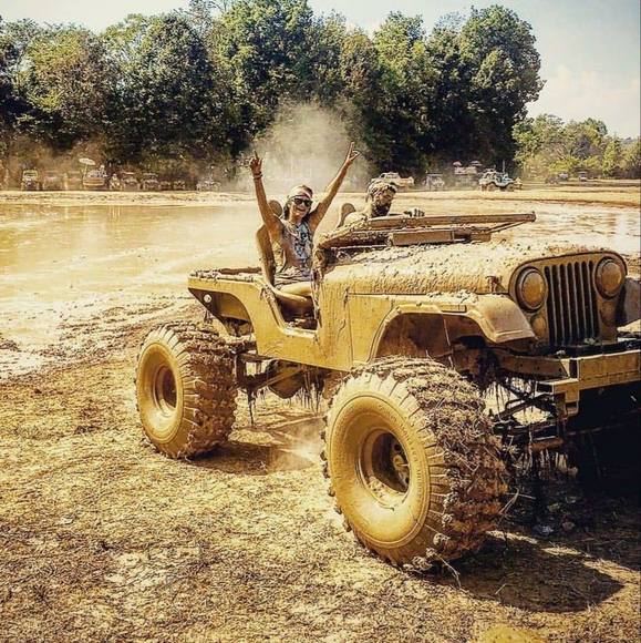 Meet your Posher, Shelby - Picture 1 of 1